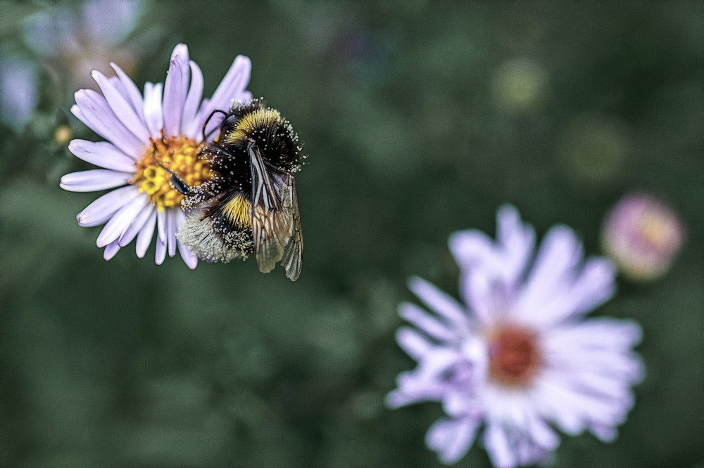 Photograph by Александр Стрельченко