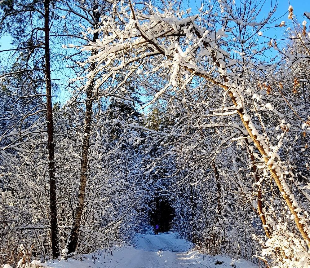 Photograph by леонид натапов