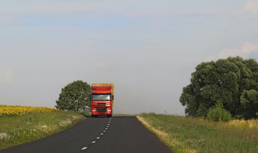 уборочная (август 2020)