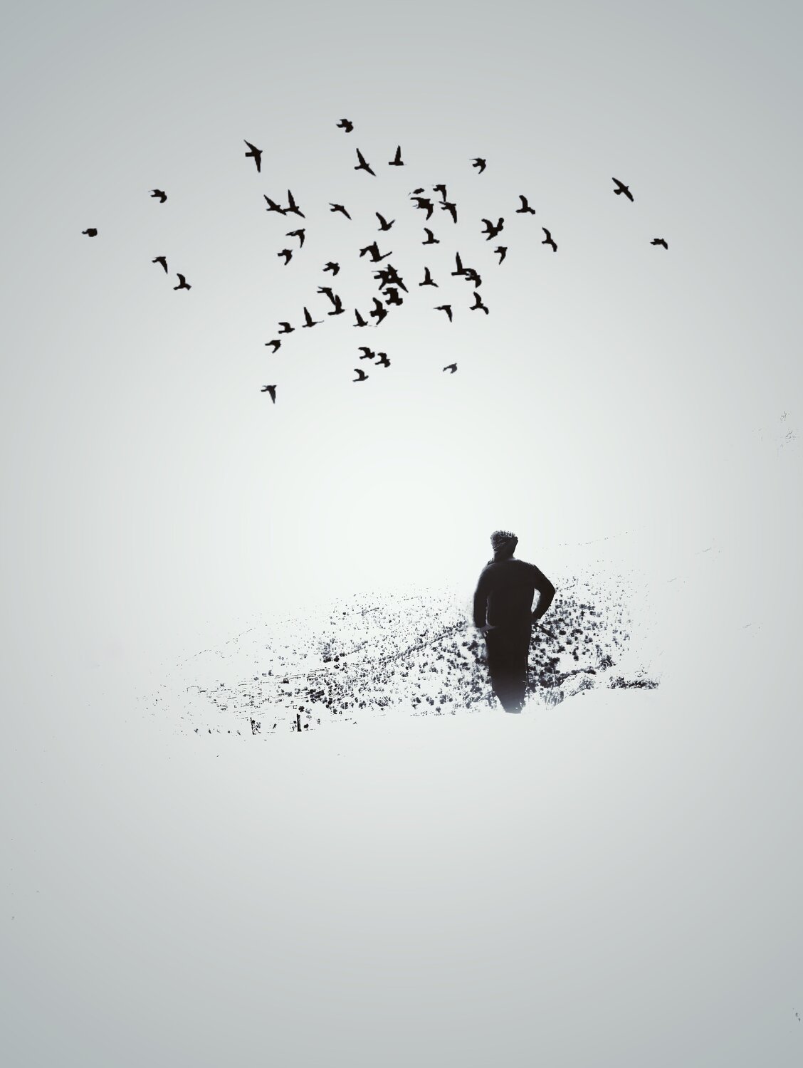 Photo #5399287