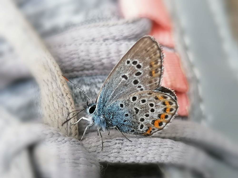 Photograph by Nora Nikolova