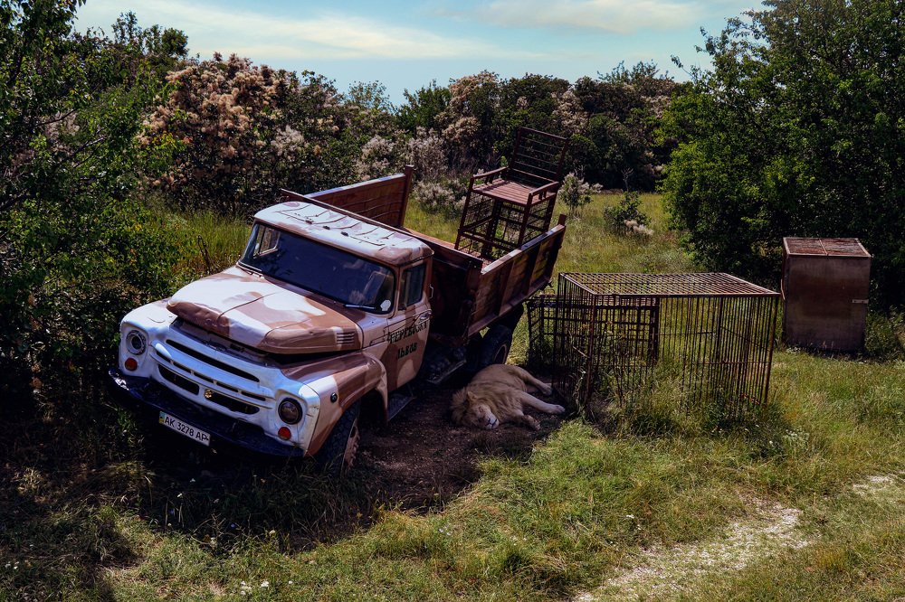 Photograph by Светлана Перминова