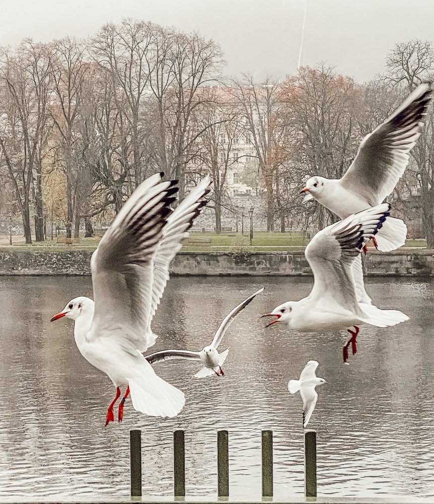 Photograph by Yana Ofitserova