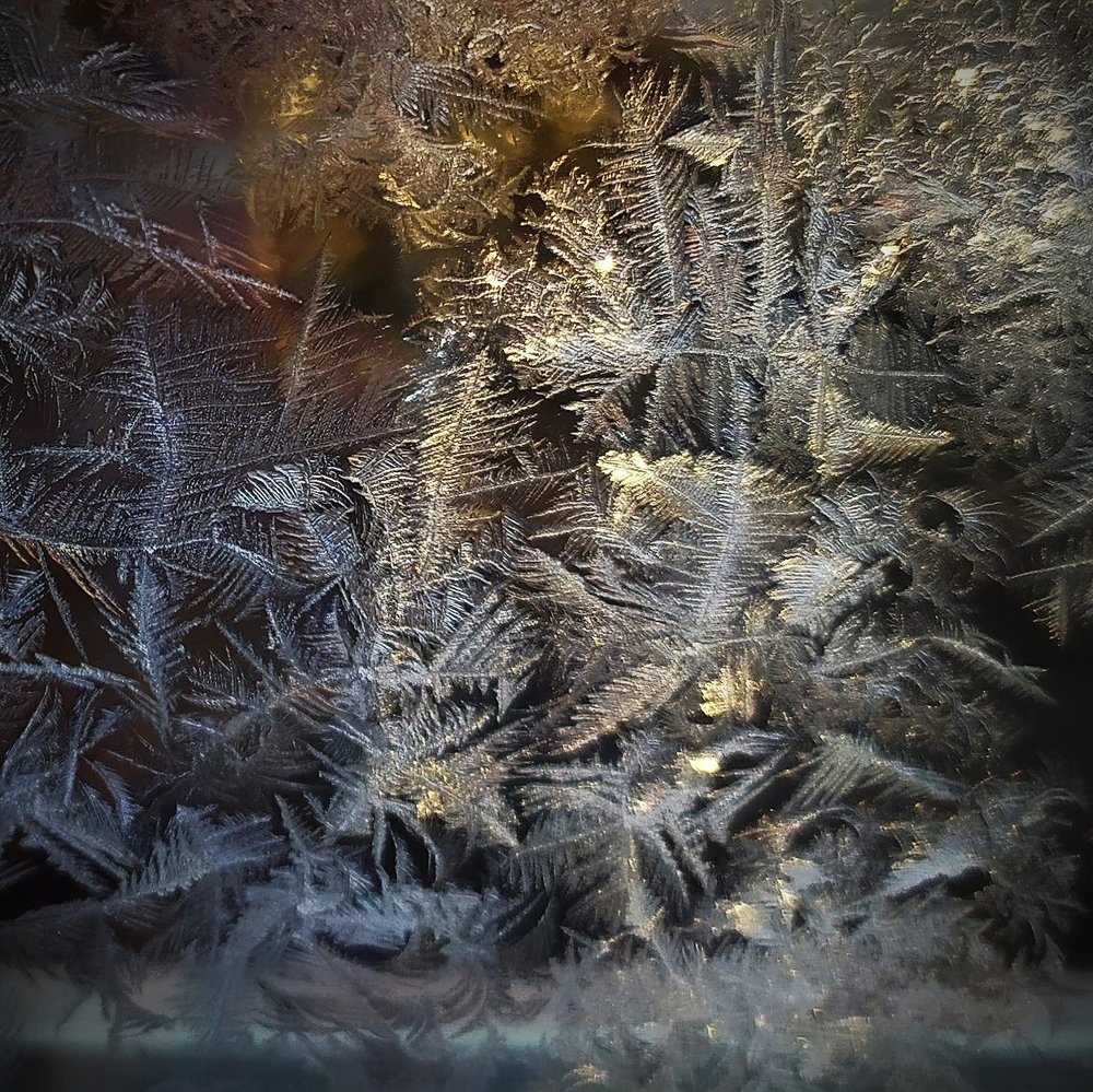 Photograph by Елена Павлова