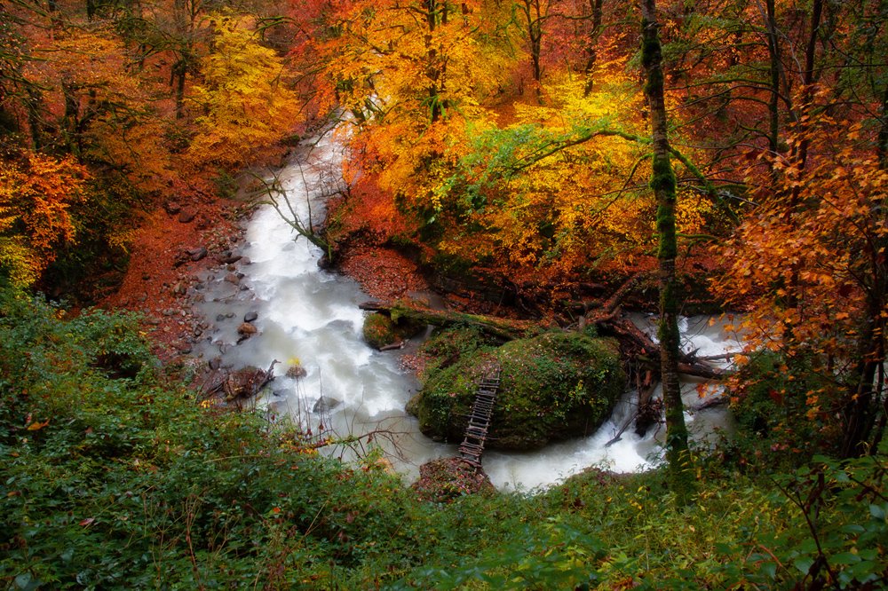 Photograph by kshvarprst navi homayon