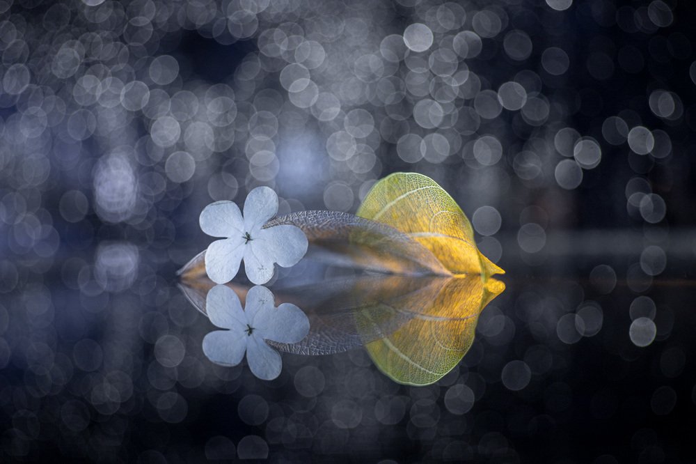 Photograph by Игорь Копцев