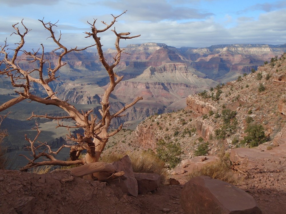 Grand Canyon