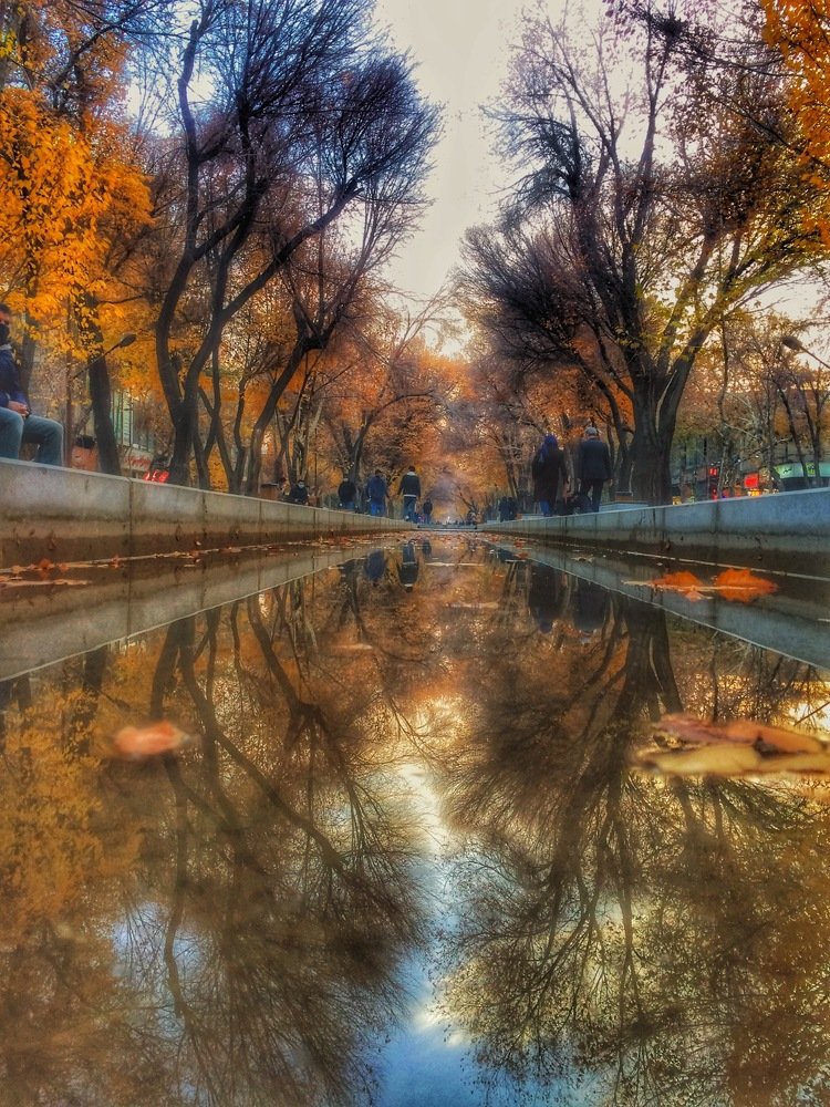 Photograph by sasan Mohamady