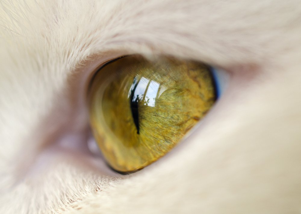 Photograph by Евгений Каримов