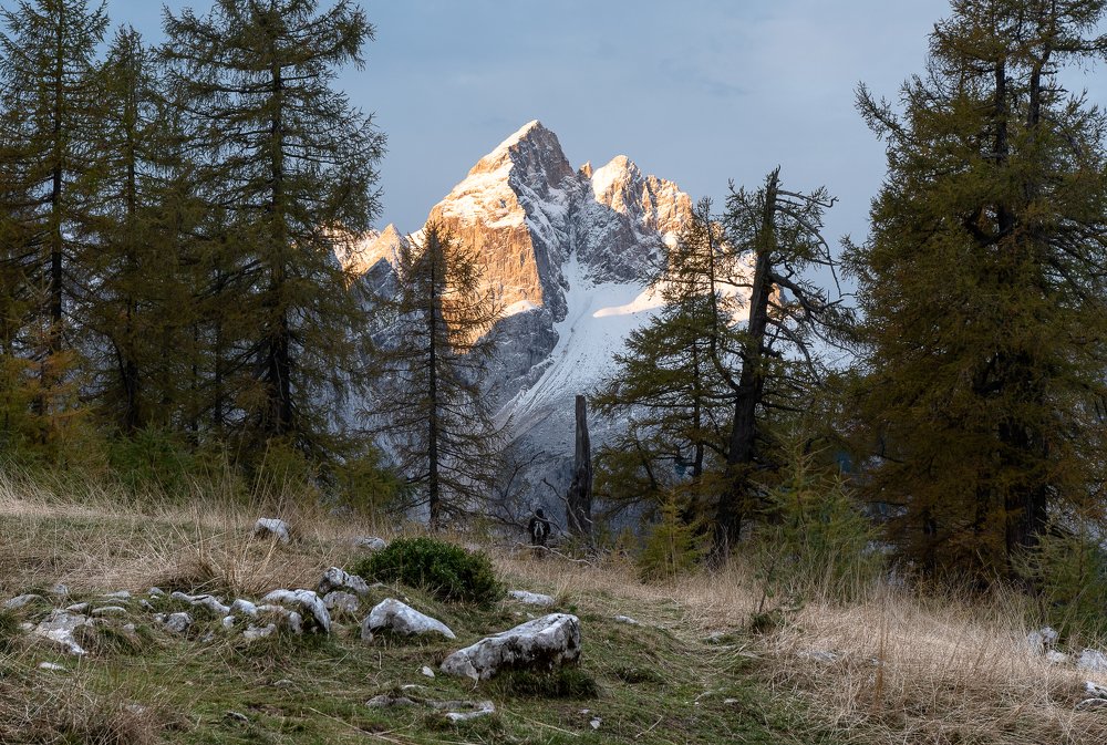 Photograph by Jernej Peljhan