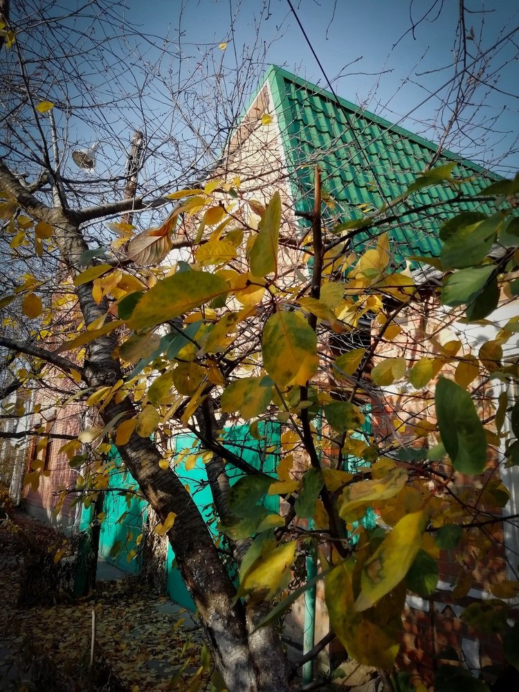 Солнечный день