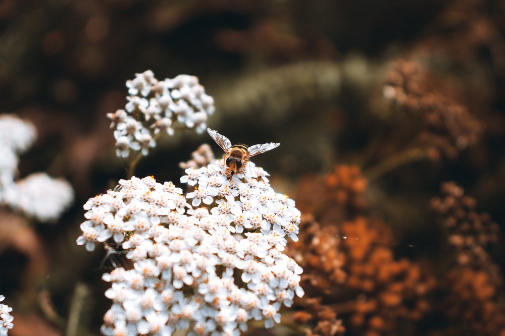 Фотография автора Daria CappuccinKo