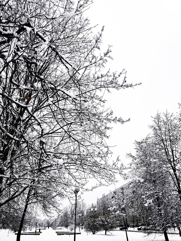 Фотография автора Оля Алехнович