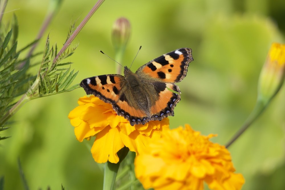 Photograph by Anastasia Perez