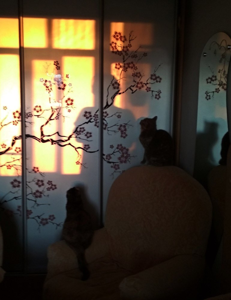 Photograph by Наталья Стальмакова