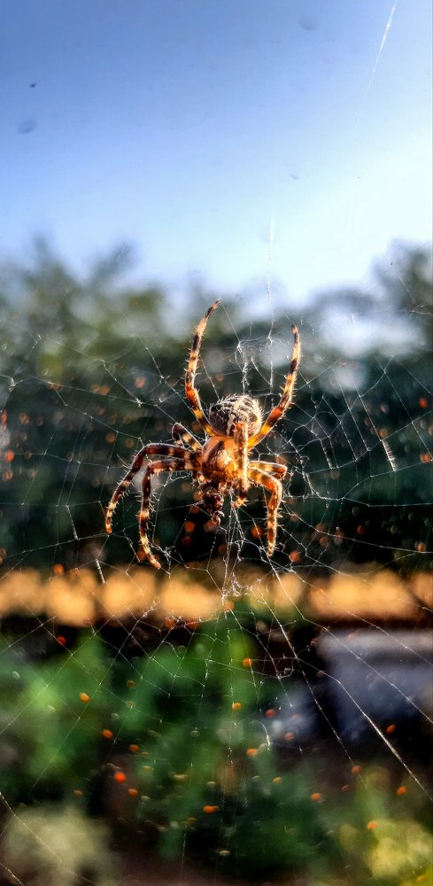 Photograph by Саламбек Ханкушов