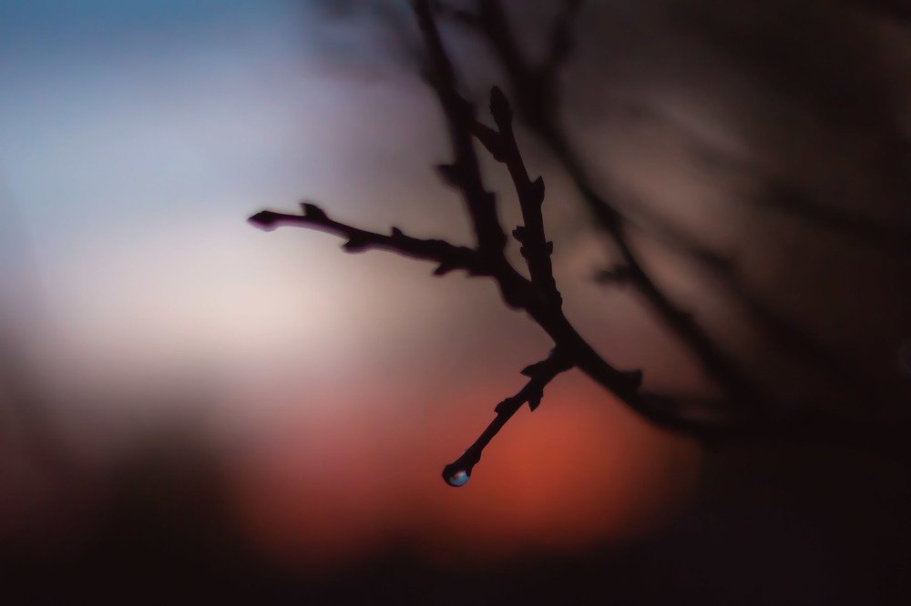 Photograph by Алексей Худяков