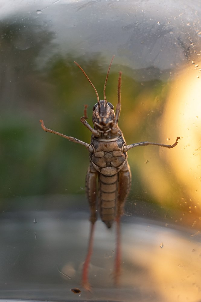 Photograph by Марина Згоник