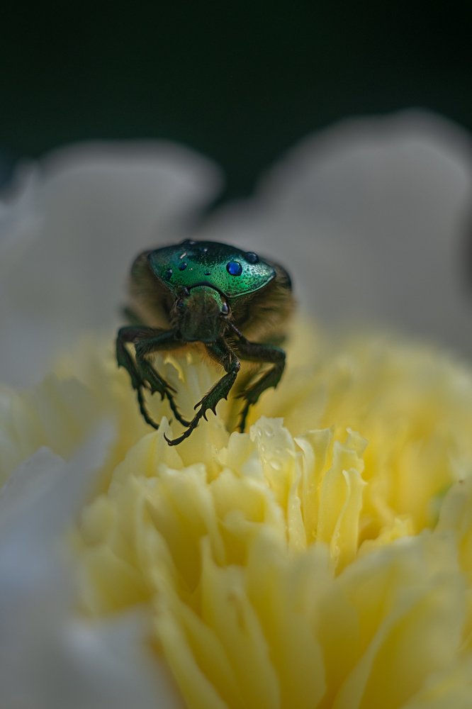 Photograph by Марина Згоник