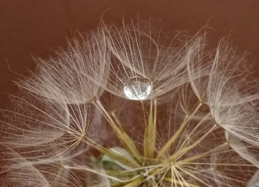 Photograph by Юлия Чванова