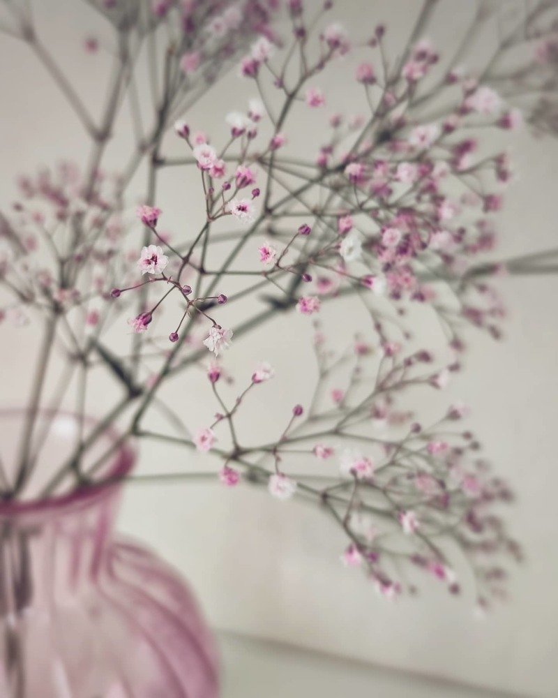 Photograph by Мария Фак