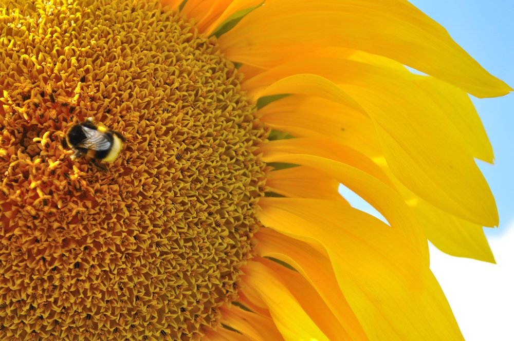 Photograph by Евгений