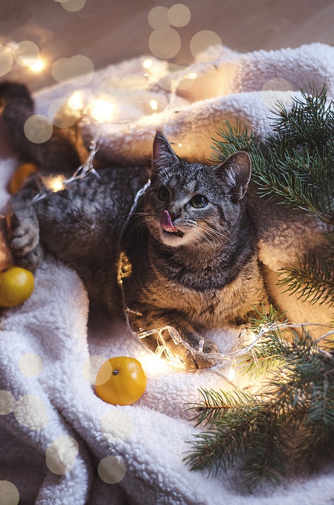 Photograph by Виктория