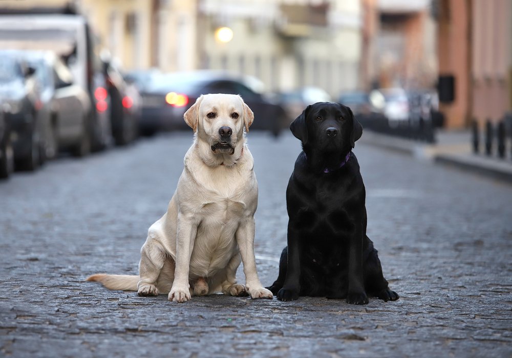 Photograph by Титаренко Ольга