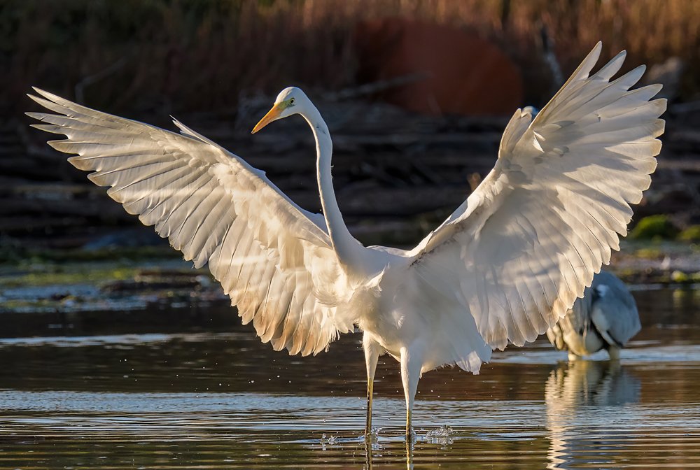 Photograph by Messina Alfonso