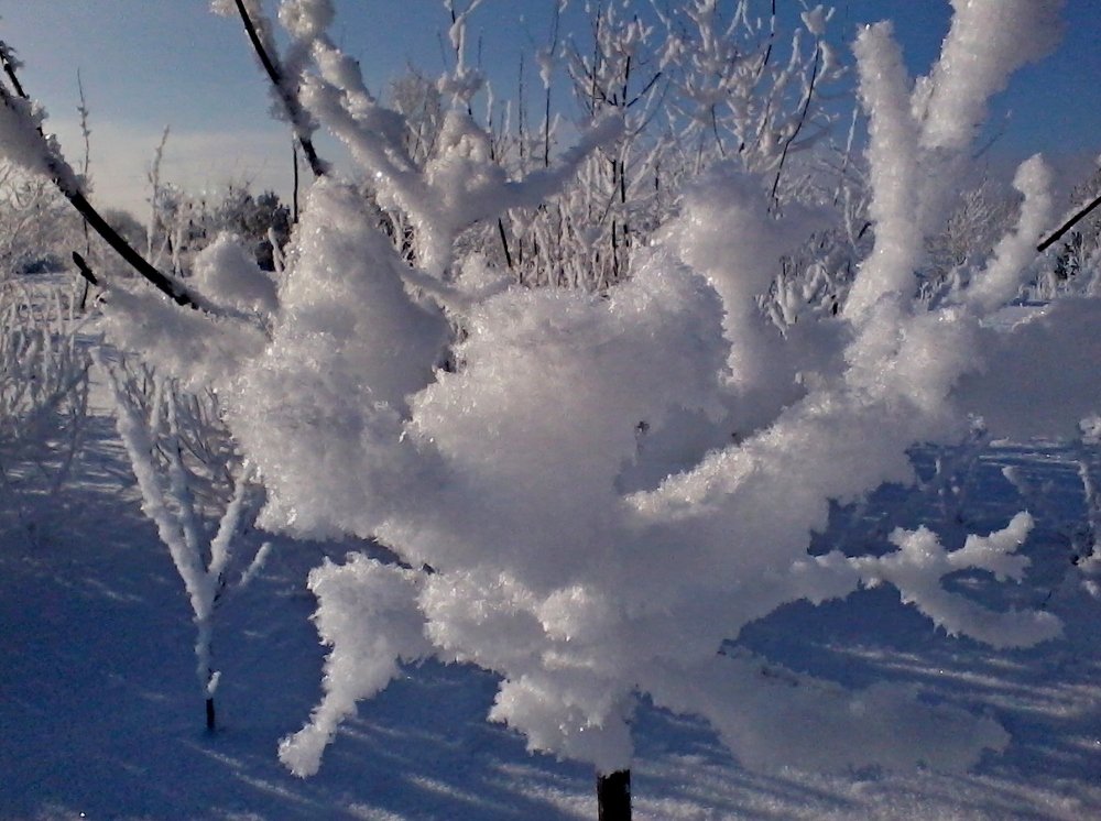 Photograph by Петр Калинкин