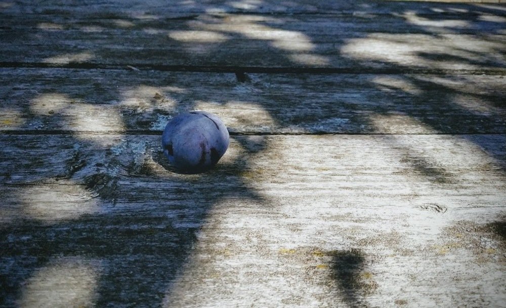 ЭТЮД СО СЛИВОЙ