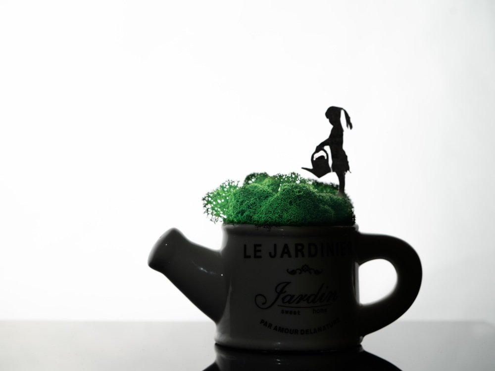 Photograph by Марина Беликова