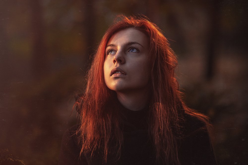 Фотография автора Шипов Олег