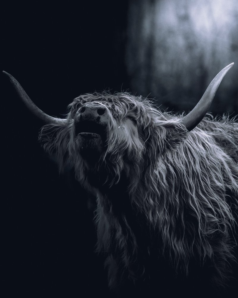 Photograph by Bret Blakely