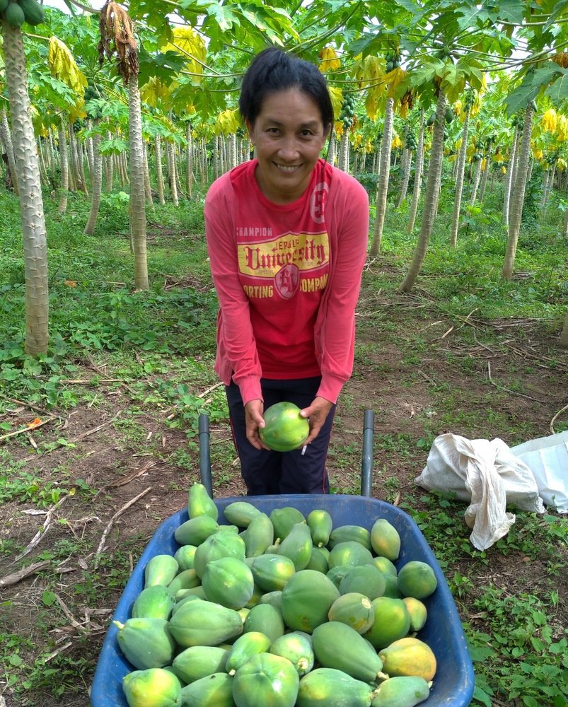 Фотография автора Diogo Thompson Ribeiro