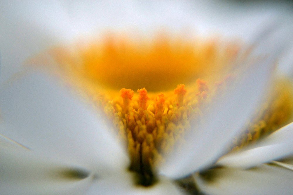 Photograph by Татьяна Куликова