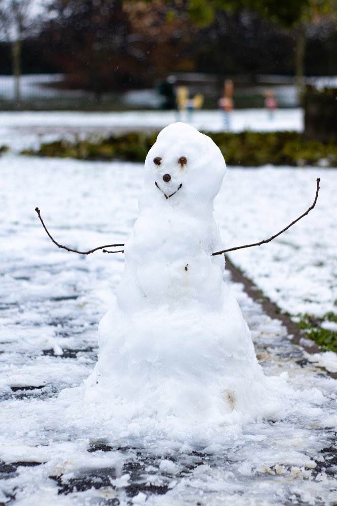 Один снежный день в году