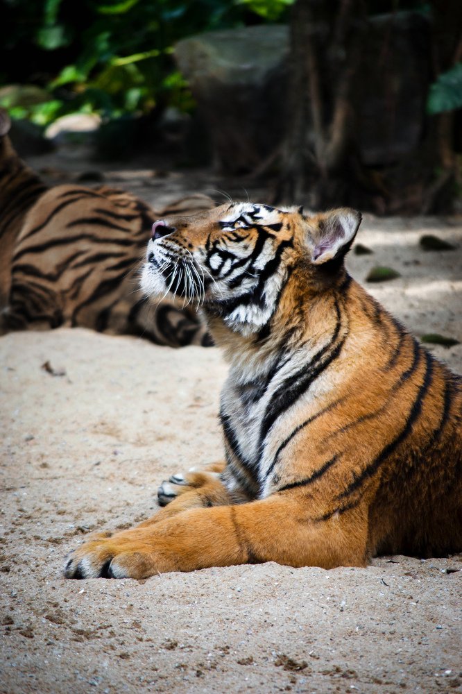 Photograph by Евгения Тарасова