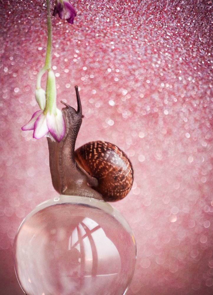 Photograph by Наталья Шумилова