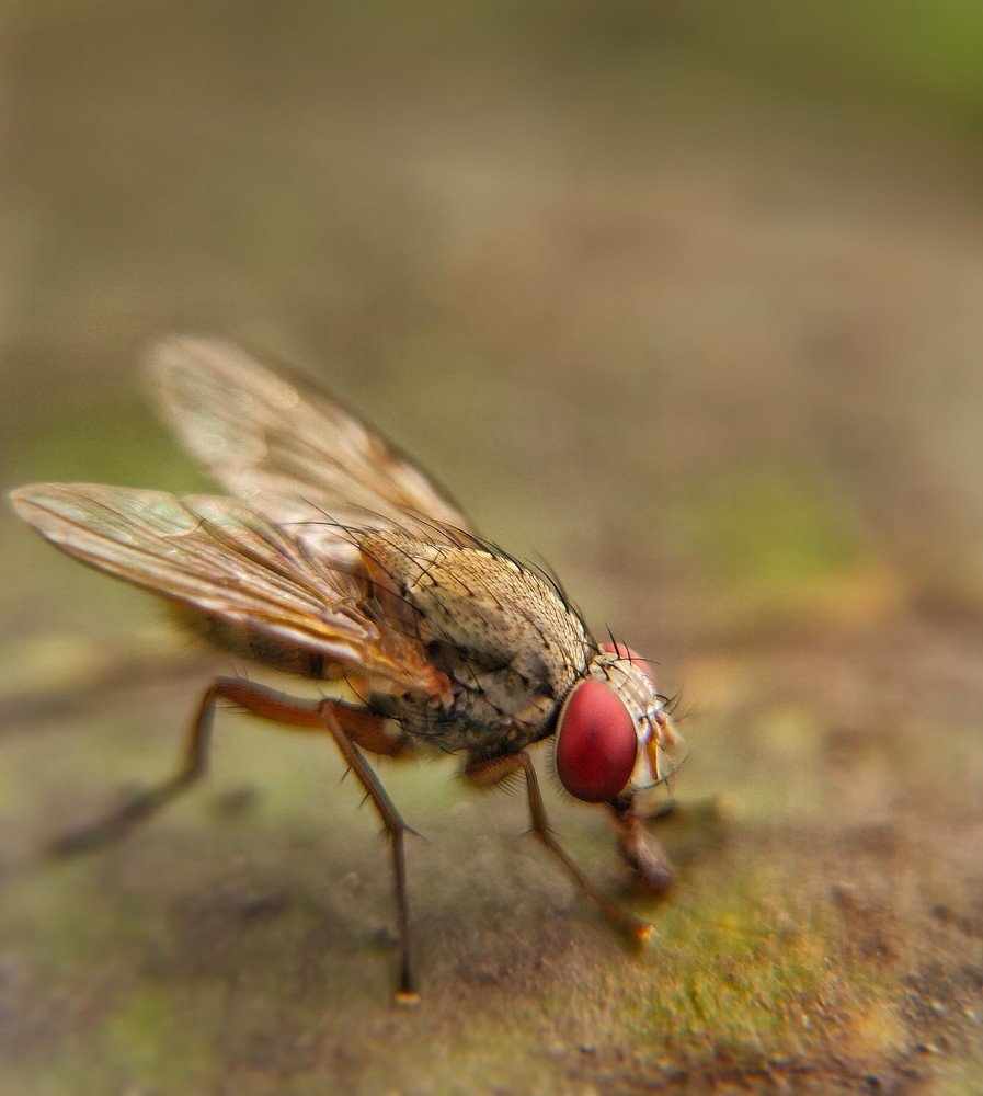 Photograph by ALI SAJID