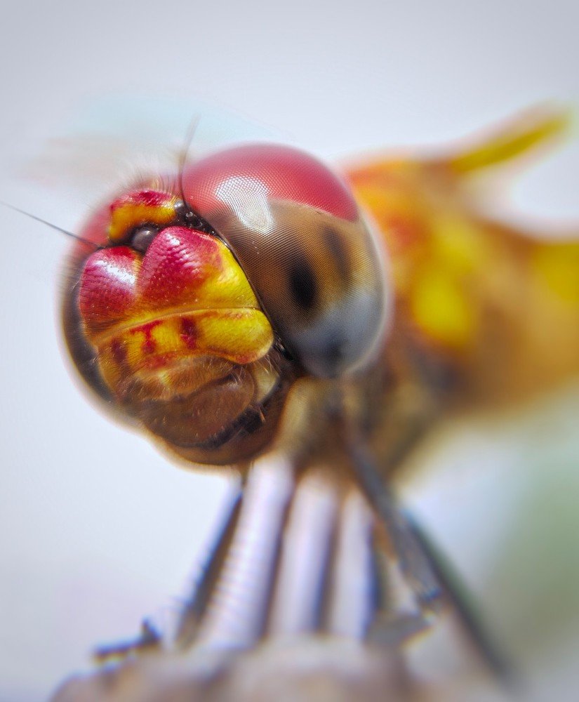 Photograph by ALI SAJID