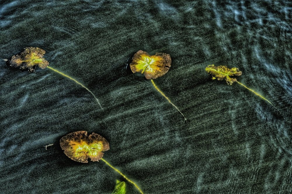 Photograph by Лев Останин