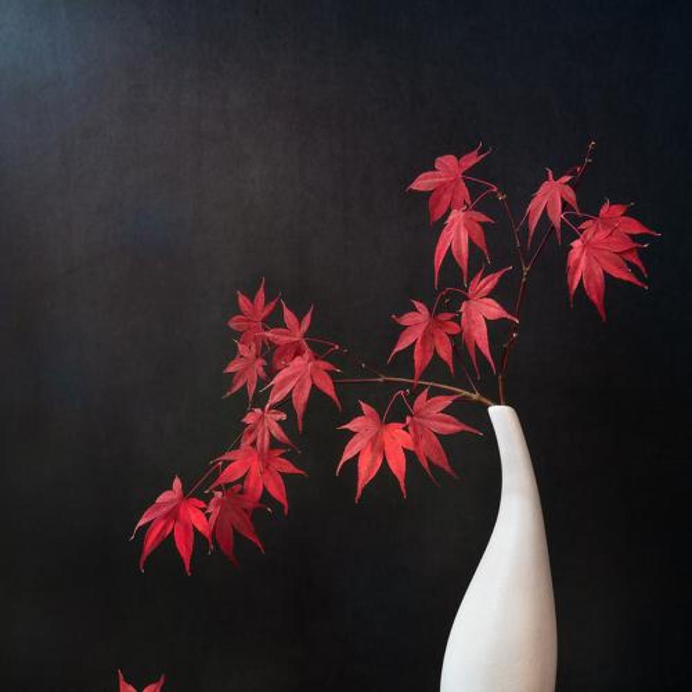 Фотография автора Aidong Ning