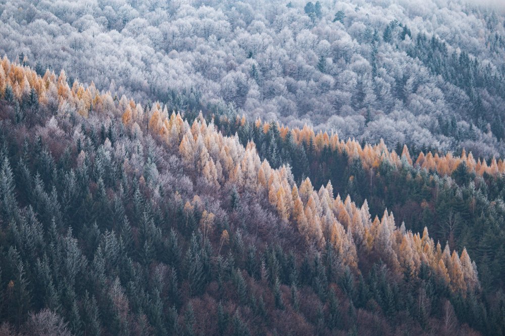 Photograph by Dzintra Zvagina