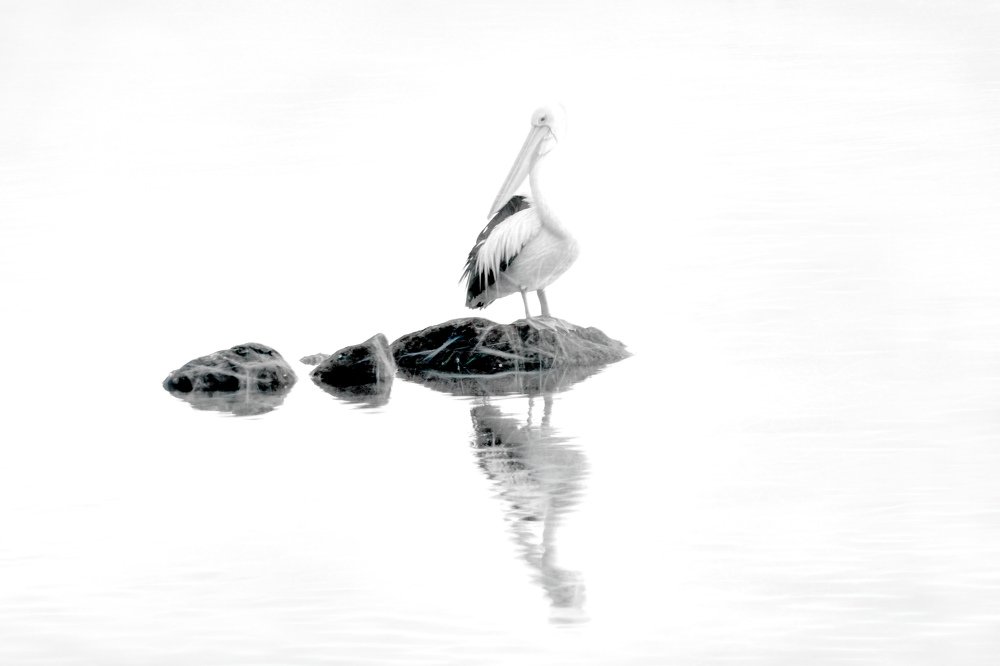 Photograph by Julie Teague