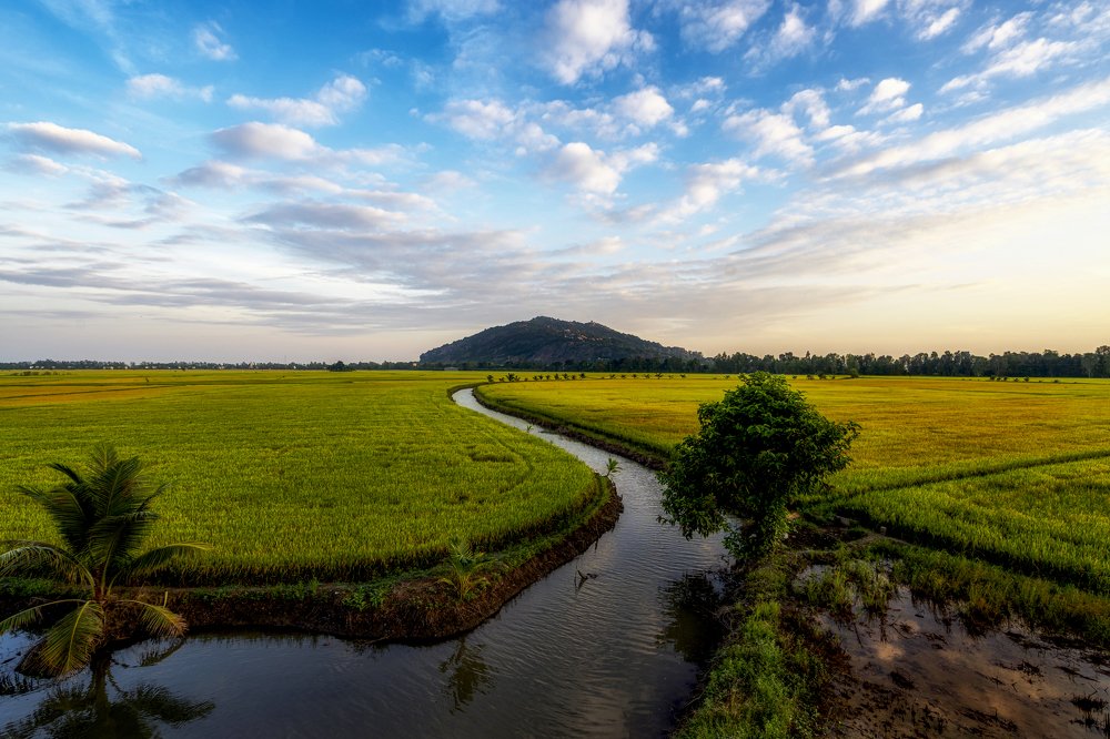 Photograph by Nguyễn Sơn