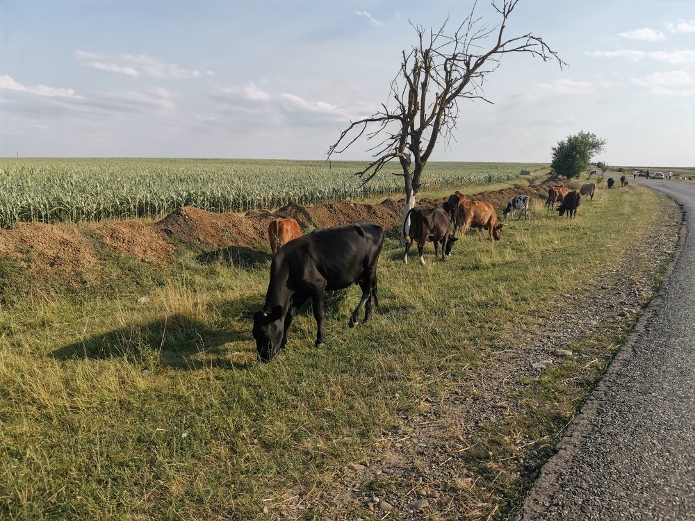 Photograph by Елена Акимова