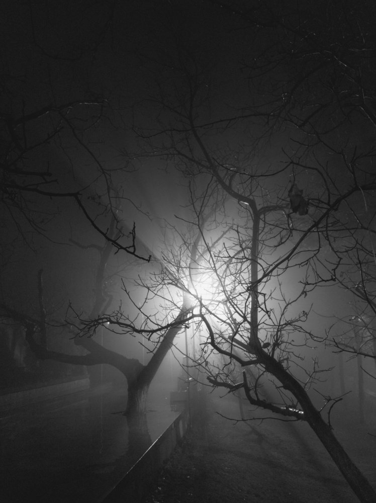 Photograph by Мгер Аршакян