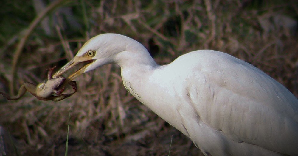 Photograph by Sarmad Sindhi