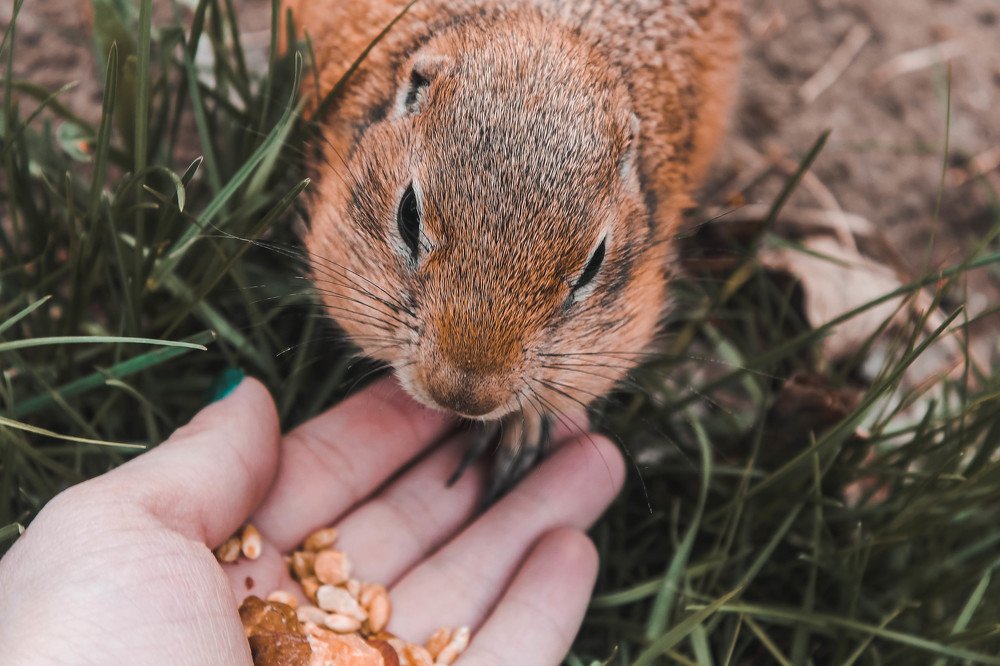 Photograph by Виктория